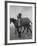 Yearlings Playing Together in the Paddock at Marcel Boussac's Stud Farm and Stables-Lisa Larsen-Framed Photographic Print