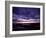 Yearning-Doug Chinnery-Framed Photographic Print