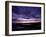 Yearning-Doug Chinnery-Framed Photographic Print