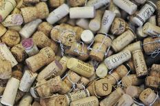 Used Wine and Champagne Corks-Yehia Asem El Alaily-Photographic Print