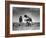 Yeibichai Ceremony, c1905-Edward S. Curtis-Framed Giclee Print