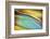 Yellow and Aqua Blue Flow-Cora Niele-Framed Photographic Print