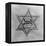 Yellow and Black Star Which the Jews Were Required to Wear in Occupied Holland During World War 2-null-Framed Stretched Canvas