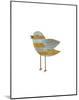 Yellow and Blue Striped Bird-John W^ Golden-Mounted Art Print