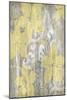 Yellow and Gray I-Jennifer Goldberger-Mounted Art Print