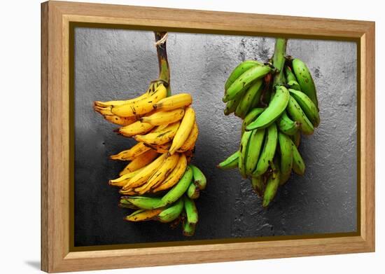 Yellow and Green Bananas-null-Framed Stretched Canvas