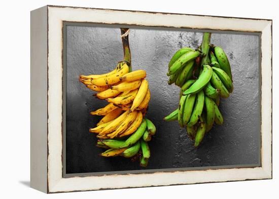 Yellow and Green Bananas-null-Framed Stretched Canvas