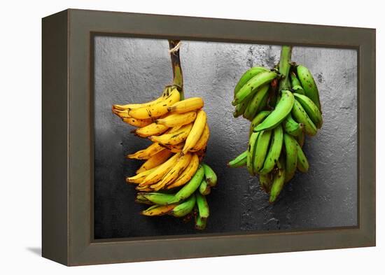 Yellow and Green Bananas-null-Framed Stretched Canvas