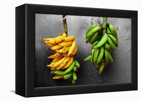 Yellow and Green Bananas-null-Framed Stretched Canvas