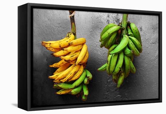 Yellow and Green Bananas-null-Framed Stretched Canvas