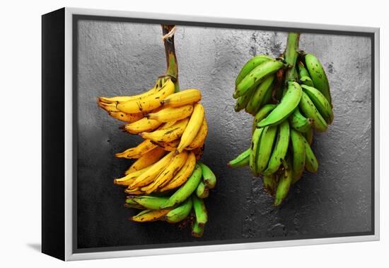 Yellow and Green Bananas-null-Framed Stretched Canvas