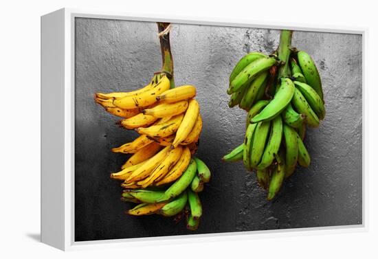 Yellow and Green Bananas-null-Framed Stretched Canvas