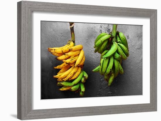 Yellow and Green Bananas-null-Framed Photo