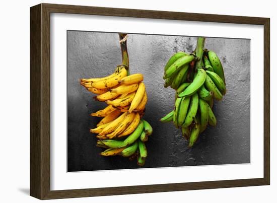 Yellow and Green Bananas-null-Framed Photo