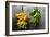 Yellow and Green Bananas-null-Framed Photo