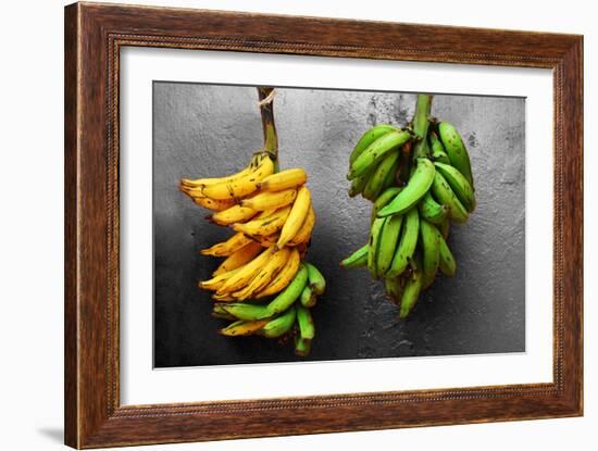 Yellow and Green Bananas-null-Framed Photo