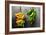 Yellow and Green Bananas-null-Framed Photo