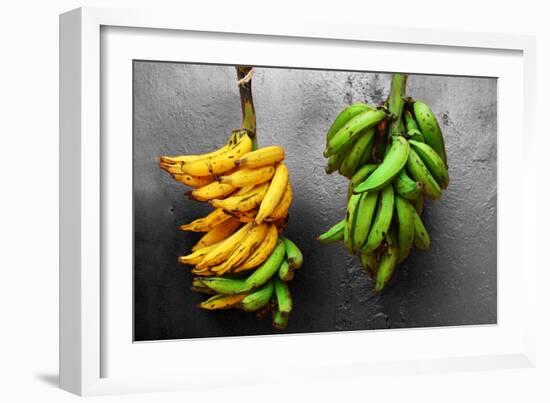 Yellow and Green Bananas-null-Framed Photo