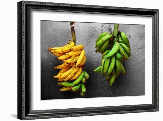 Yellow and Green Bananas-null-Framed Photo