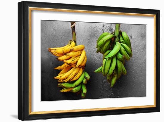 Yellow and Green Bananas-null-Framed Photo