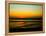 Yellow and Orage-Josh Adamski-Framed Premier Image Canvas