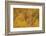 Yellow and Orange Aspen in the Fall, Uncompahgre National Forest, Colorado, U.S.A.-James Hager-Framed Photographic Print