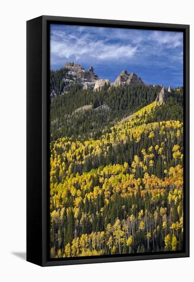 Yellow and Orange Aspens with Evergreens in the Fall-James Hager-Framed Premier Image Canvas