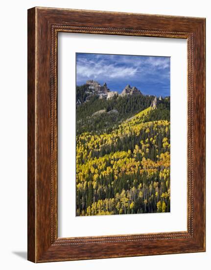 Yellow and Orange Aspens with Evergreens in the Fall-James Hager-Framed Photographic Print