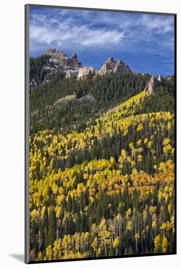 Yellow and Orange Aspens with Evergreens in the Fall-James Hager-Mounted Photographic Print