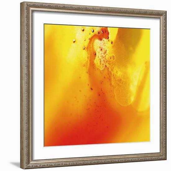 Yellow and Orange Swirling Abstract, c. 2008-Pier Mahieu-Framed Premium Giclee Print