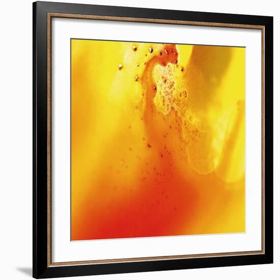 Yellow and Orange Swirling Abstract, c. 2008-Pier Mahieu-Framed Premium Giclee Print