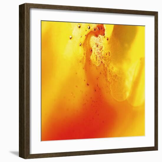 Yellow and Orange Swirling Abstract, c. 2008-Pier Mahieu-Framed Premium Giclee Print