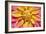 Yellow And Pink Dahlia Flower-Cora Niele-Framed Giclee Print