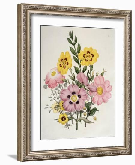 Yellow and Pink Mixed Flowers-Edward Burne-Jones-Framed Giclee Print