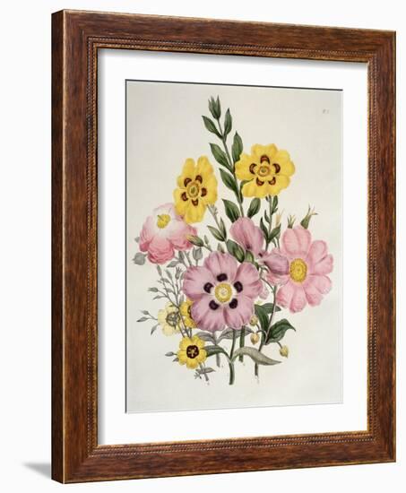 Yellow and Pink Mixed Flowers-Edward Burne-Jones-Framed Giclee Print