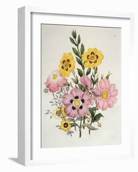 Yellow and Pink Mixed Flowers-Edward Burne-Jones-Framed Giclee Print