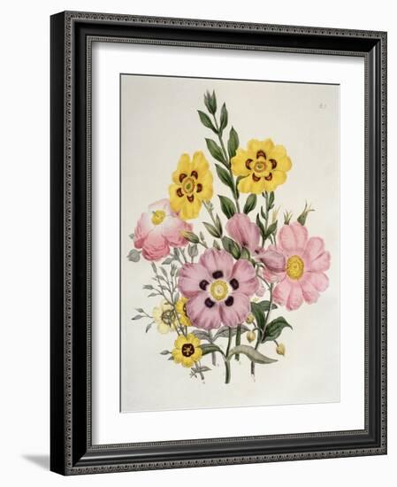 Yellow and Pink Mixed Flowers-Edward Burne-Jones-Framed Giclee Print