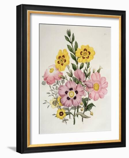 Yellow and Pink Mixed Flowers-Edward Burne-Jones-Framed Giclee Print