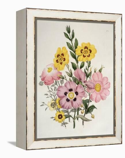 Yellow and Pink Mixed Flowers-Edward Burne-Jones-Framed Premier Image Canvas
