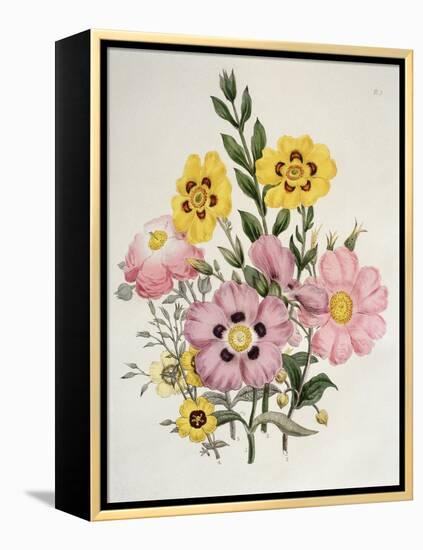 Yellow and Pink Mixed Flowers-Edward Burne-Jones-Framed Premier Image Canvas