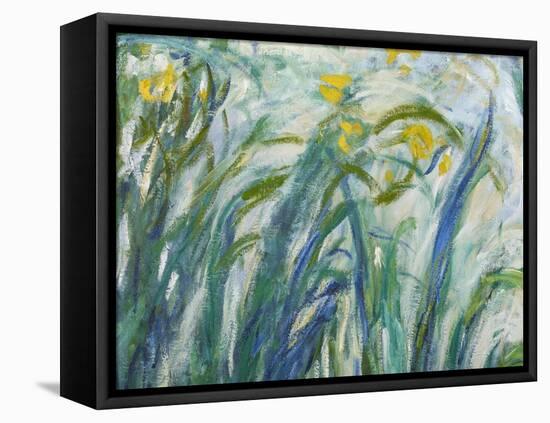 Yellow and Purple Irises, 1924-25 (Detail)-Claude Monet-Framed Premier Image Canvas