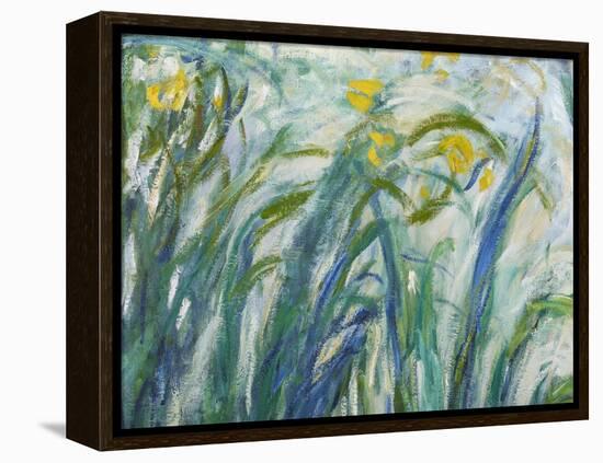 Yellow and Purple Irises, 1924-25 (Detail)-Claude Monet-Framed Premier Image Canvas