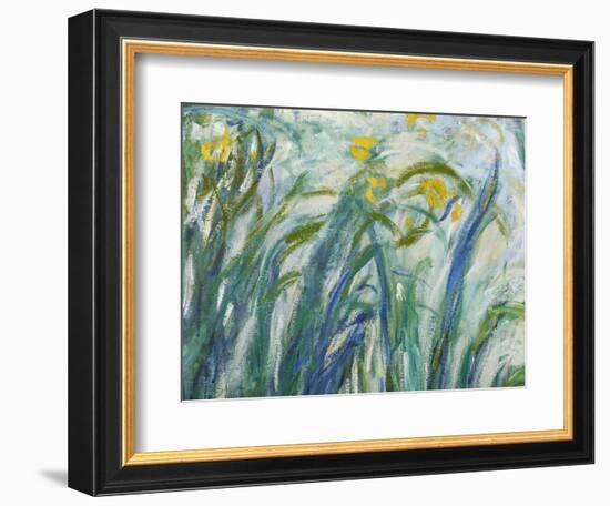 Yellow and Purple Irises, 1924-25 (Detail)-Claude Monet-Framed Giclee Print