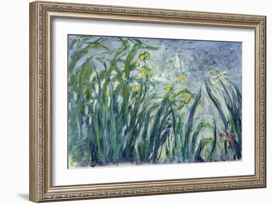 Yellow and Purple Irises, 1924-25-Claude Monet-Framed Giclee Print