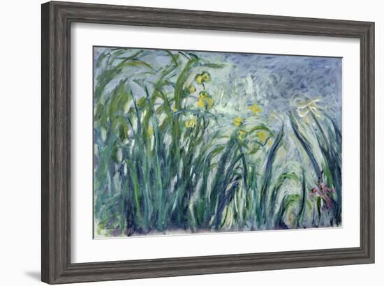 Yellow and Purple Irises, 1924-25-Claude Monet-Framed Giclee Print