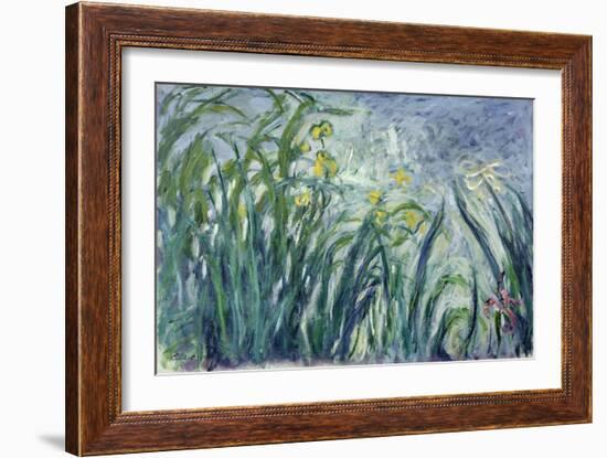 Yellow and Purple Irises, 1924-25-Claude Monet-Framed Giclee Print