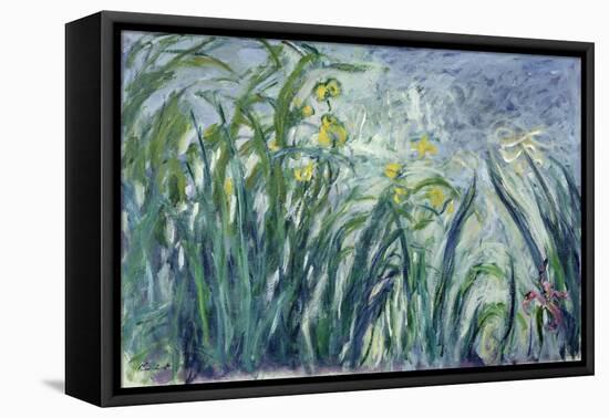 Yellow and Purple Irises, 1924-25-Claude Monet-Framed Premier Image Canvas