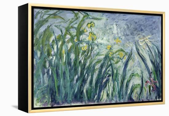 Yellow and Purple Irises, 1924-25-Claude Monet-Framed Premier Image Canvas