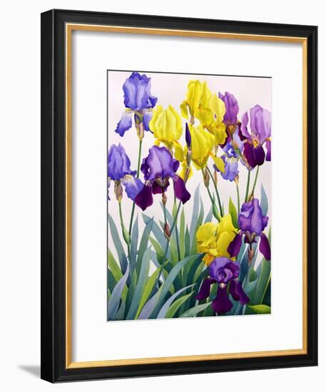 Yellow and Purple Irises-Christopher Ryland-Framed Giclee Print