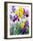 Yellow and Purple Irises-Christopher Ryland-Framed Giclee Print